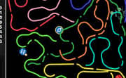 Achtung Die Kurve 2 Curve Fever 2 Play Achtung Die Kurve 2 Curve Fever 2 On Crazy Games