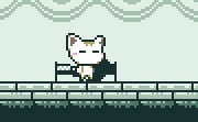 A Kitty Dream