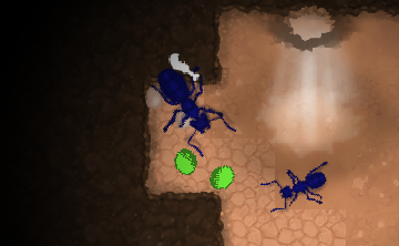 ant queen game free