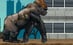 Big Bad Ape