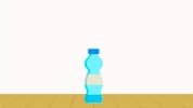Bottle Flip