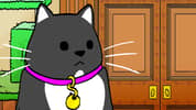 Catroom Drama: Case 1