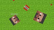 CrazySteve.io