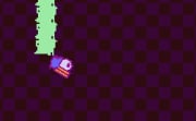 Delirious Bird