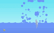 Dolphin Olympics