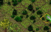 Excavate