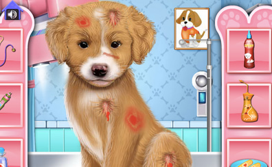 Fashion Pet Doctor