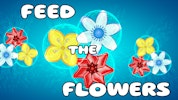 Feed the Flowers