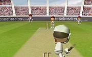 Flash Cricket 2