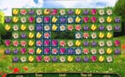 Flower Witch Game Guide BEST GAMES WALKTHROUGH