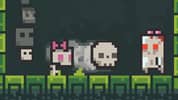 A Grim Chase
