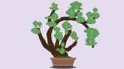 Bonsai Builder