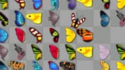Butterfly Kyodai