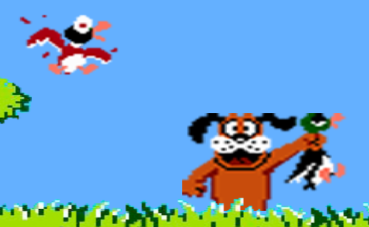 search duck hunting games