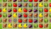 Farm of Dreams