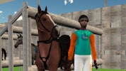 Horse Jumping Show 3D
