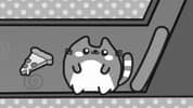 Jelly Cat