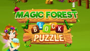 Block Magic Puzzle 🕹️ Play on CrazyGames