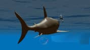 Megalodon