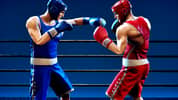 Punchers