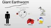 Scale of the Universe 2