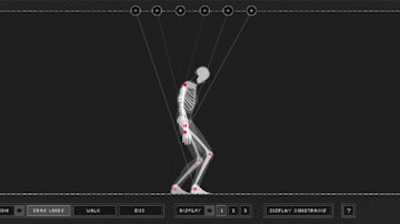 Skeleton Simulator
