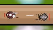 Spider Fighting