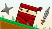 The Ninja