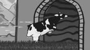 Udder