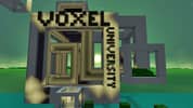 Voxel University