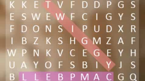 Word Bird
