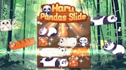 Haru Pandas Slide