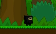Hidden Valley Ninja