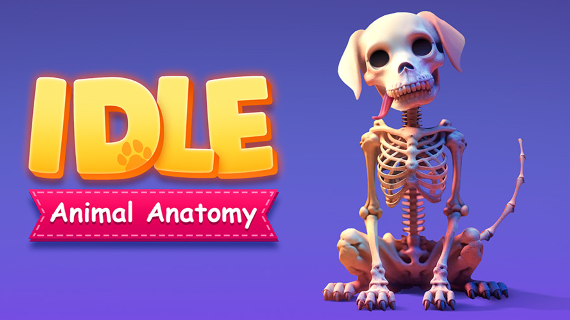 Idle Animal Anatomy