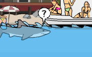 LA Shark
