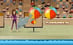 My Dolphin Show
