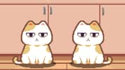 Nom Cat