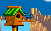 Pinchi Bird
