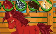 Pony Care