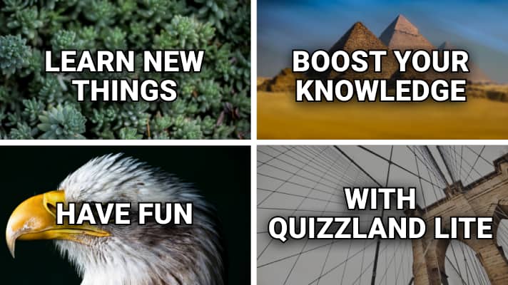 QuizzLand. Quiz & Trivia game - Apps on Google Play