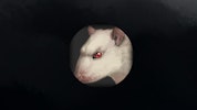 Rat Clicker 2