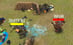 Real Mech Robot - Steel War 3D