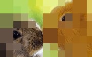 RePixel