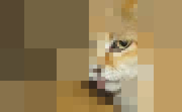 Repixel: Find a Cat