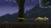 Revenge of Dog