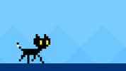 Scrappy Cat