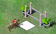 Show Jumping