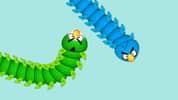 Slither Birds