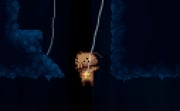 Spiderling