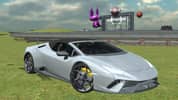 Sports Cars Driver